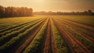 A E-Leilões marcou presença na AGRISHOW, a maior feira de agronegócio da América Latina