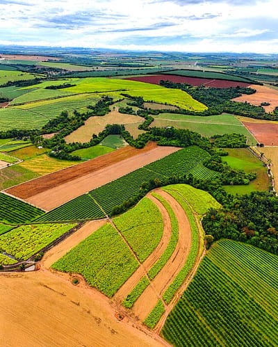1ª Vara Cível de Leme SP