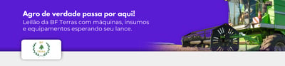 BF TERRA PARTICIPAÇÕES LTDA